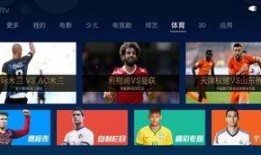 体育频道在线直播观看,体育盛宴精彩瞬间不容错过