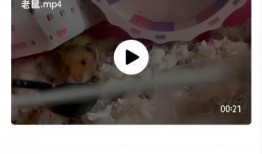 小胖爆料大肠怎么做视频,小胖教你轻松制作大肠美食视频教程